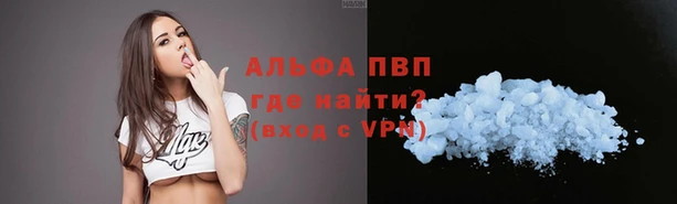 стафф Вяземский