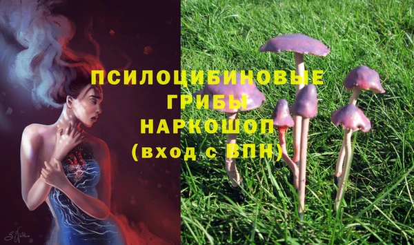 сатива Вязники
